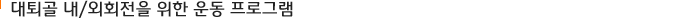 대퇴골내/외회전을위한운동프로그램